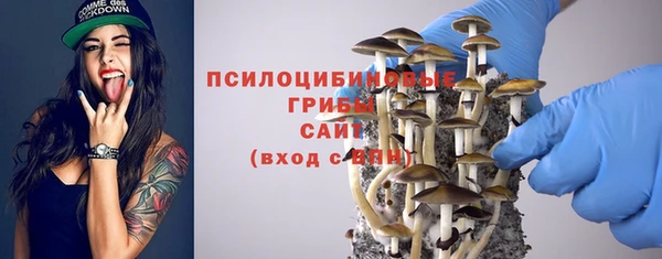 дмт Баксан
