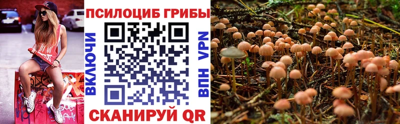 Галлюциногенные грибы MAGIC MUSHROOMS  Юрьевец 
