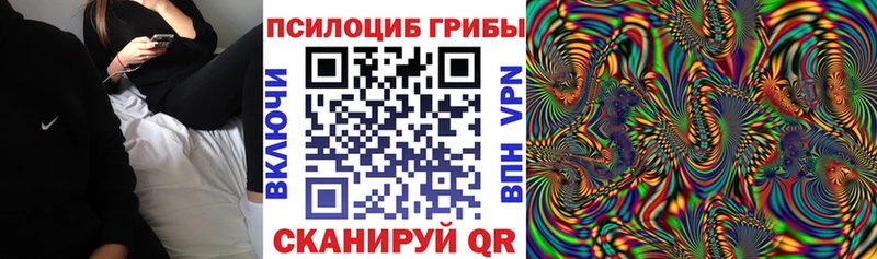 Галлюциногенные грибы мицелий Юрьевец